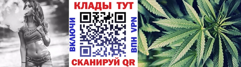 Наркошоп купить COCAIN  МЕФ  Псилоцибиновые грибы  Конопля  A-PVP  АМФ  Судогда